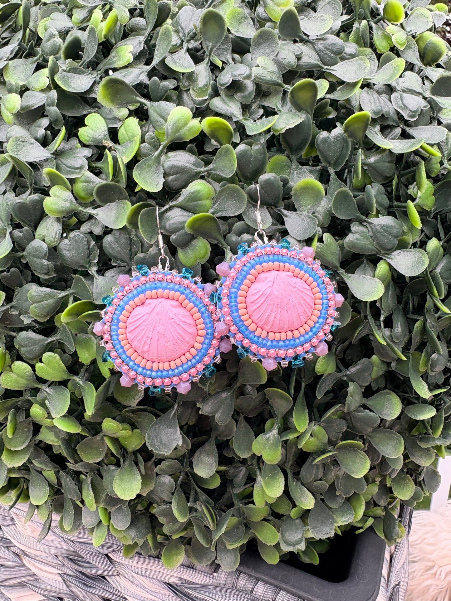 sea shells