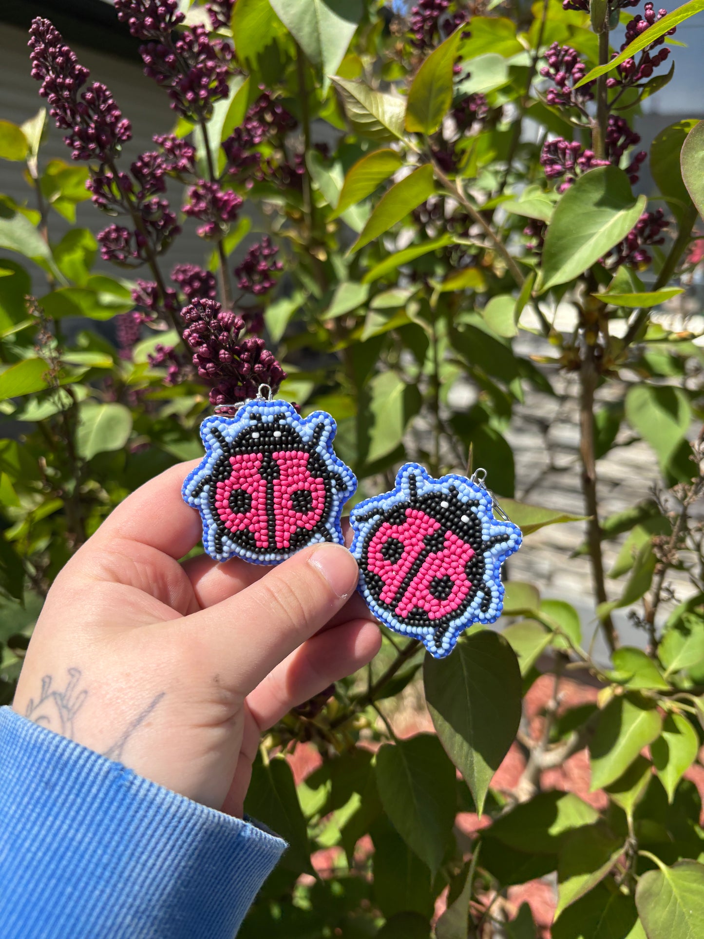 pink ladybugs