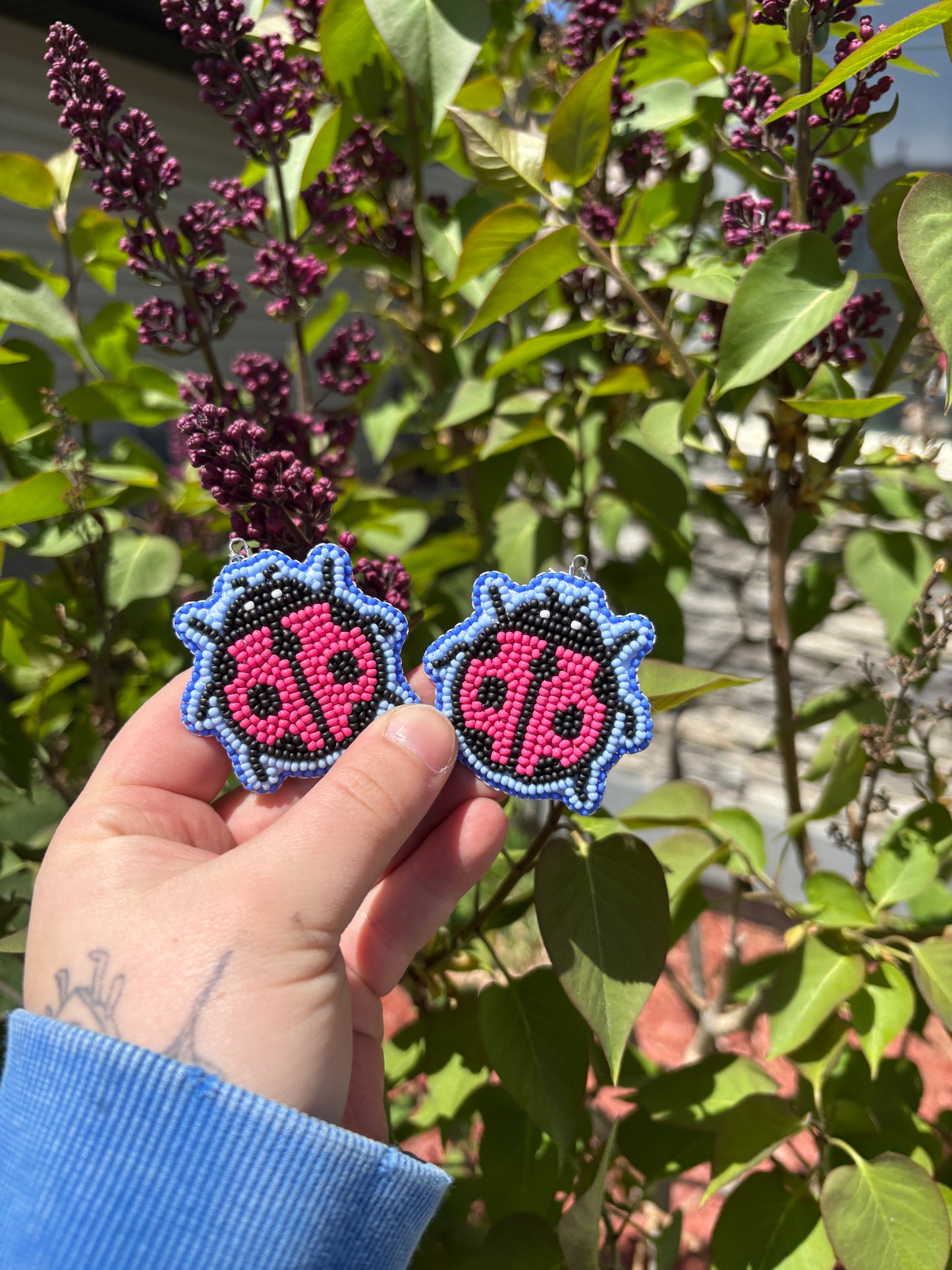 pink ladybugs